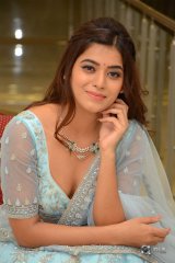 Yamini at Nartanasala Pre Release Event